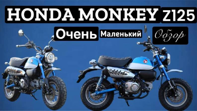 Обзор Honda Monkey Z 125 ! Маленький мотоцикл с большими амбициями!