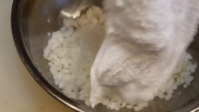 自慢のローストビーフが究極バーガーに！だし巻き卵のバーガーも食べられる京都のローストビーフバーガー専門店「サンズ」