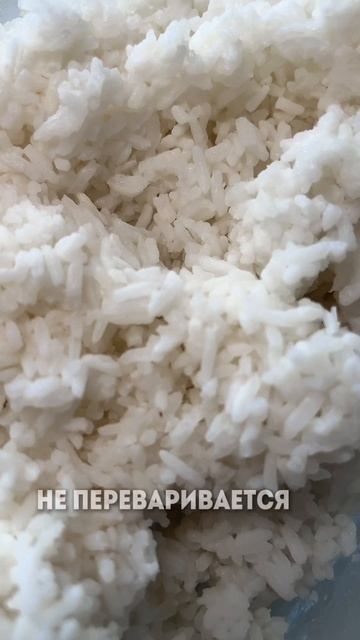 Рацион для здорового кишечника в ТГ - канале 