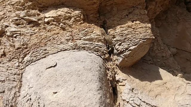 48b54bc31949981abf3213af474dbe28