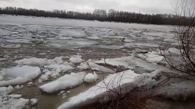 Лёд тронулся - ДЕРЖИСЬ