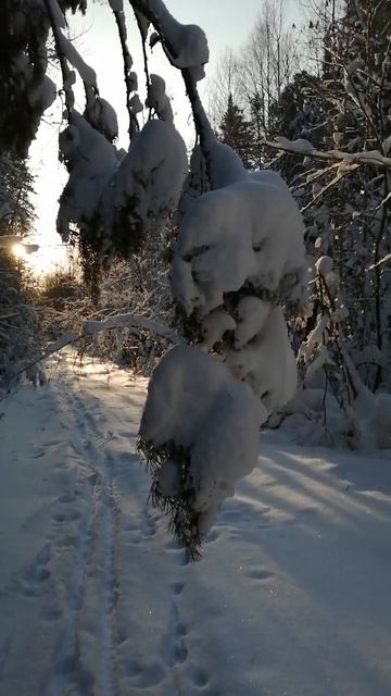 6becf8ca6f7c718c0fda6f24d9f045ec