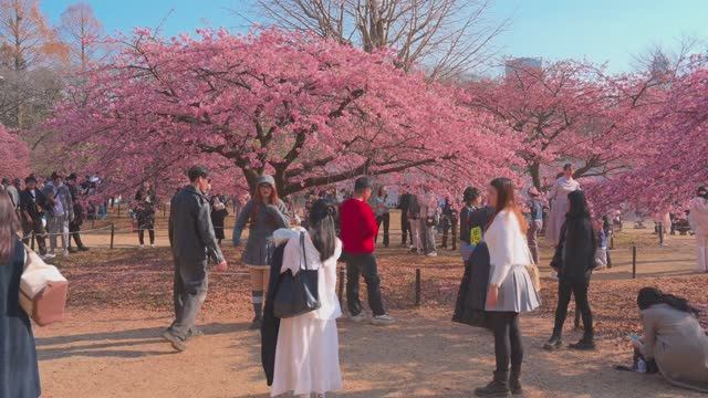 То что интересно