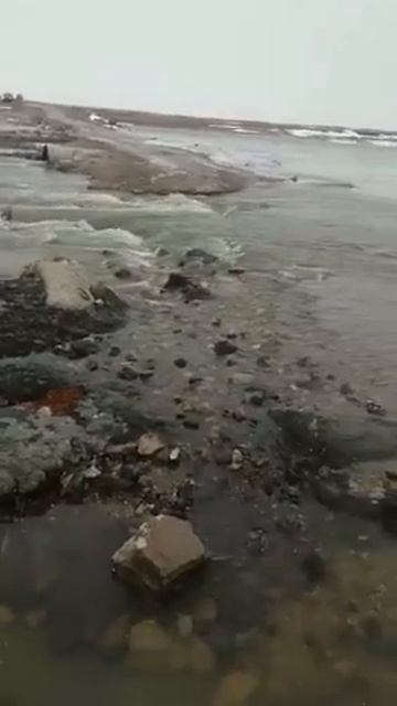 КАЖДУЮ ВЕСНУ – ОДНО И ТО ЖЕ!