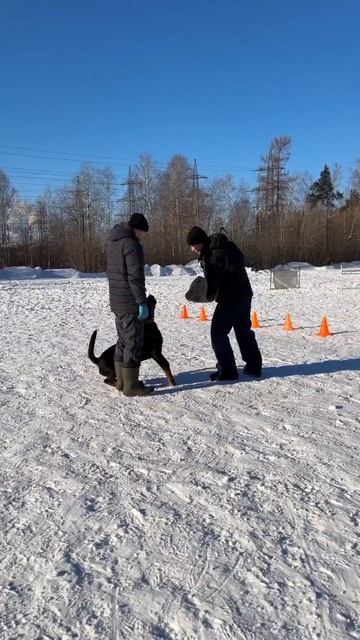 3c575a8f065b9f37ba821bf6c4953325