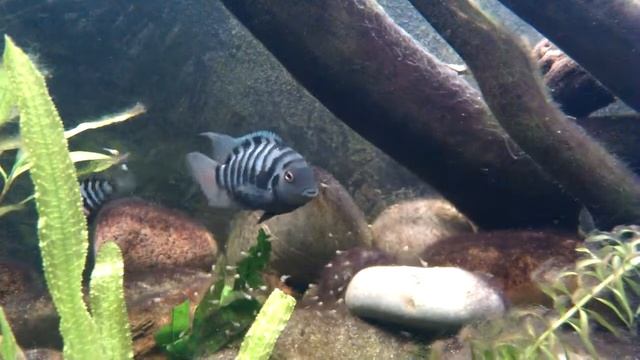 B97a567d2ca745b717d5e49910a75c94