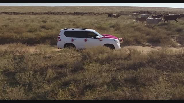 51b135c7bd10d904b70d600b83b73a78