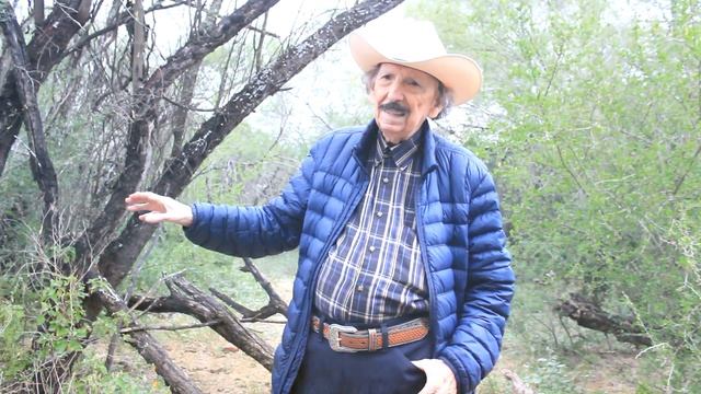 11b70134dc317d903ccb3606bc1aa5c6