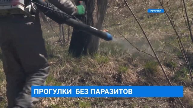 Противоклещевая обработка