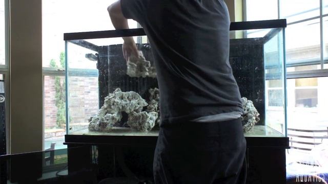 Infamous Beauty 90 Gallon Reef Tank Build Pukani Dry Rock Aquascape Tang Wrasse Clown Blenny