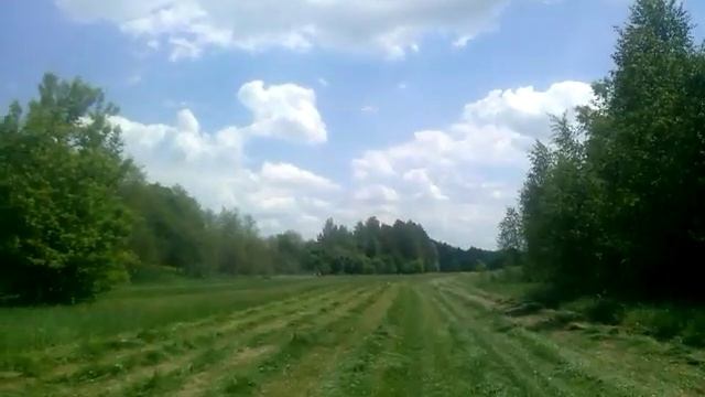 Т-40 АМ косим сено 2017