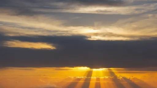 Есть только одна нация человек