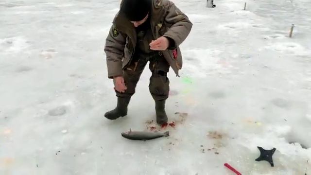 Основной водоём