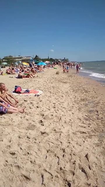медузы Белосарайская коса