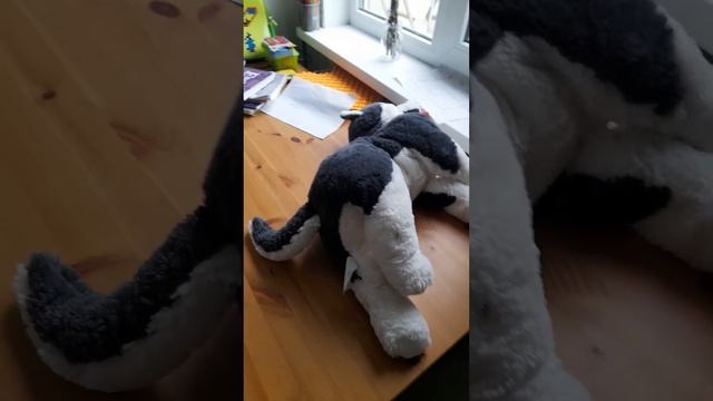 C91be48c82b51c8f8279fee0ffad8f2d