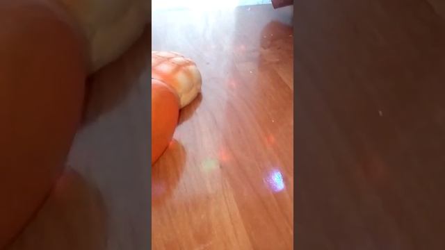 Моя коллекция сквиши