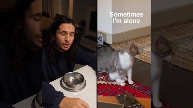 The Kiffness X Lonely Cat - Sometimes I'm Alone (Singing Cat)