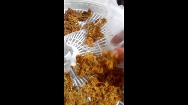 сушим квашеную капусту