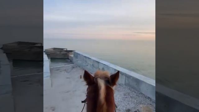 море в Кирилловке