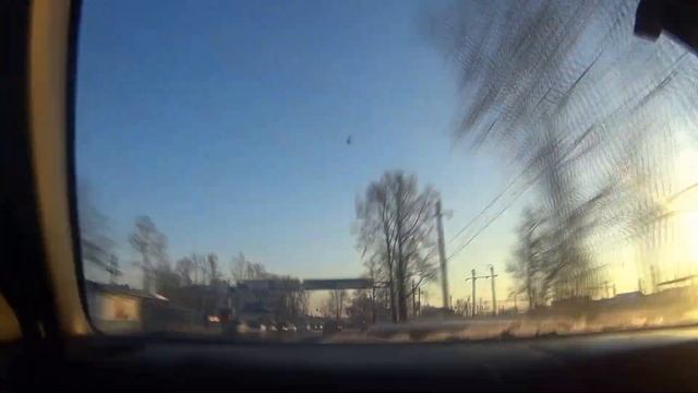 Ботанический анализ