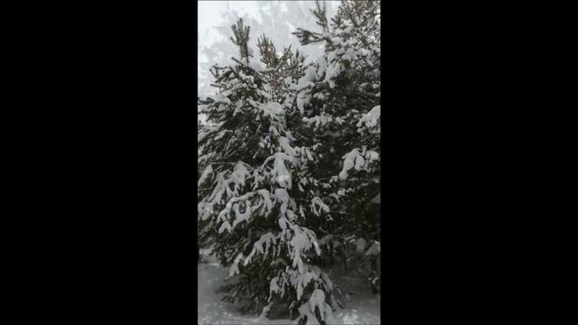 124ea1891180b91e33b6ba1d4f403b35