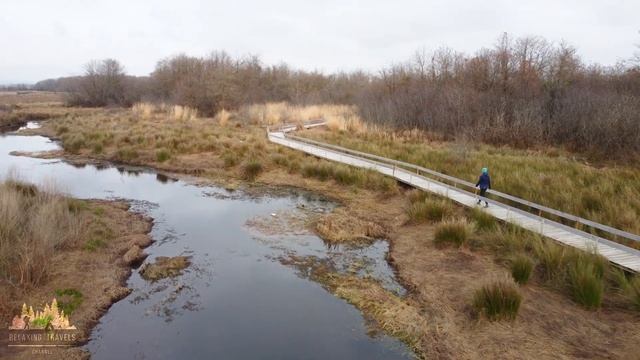 A Drone's View: Ispani Wetlands In Stunning 4K