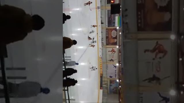 Беркут Феникс