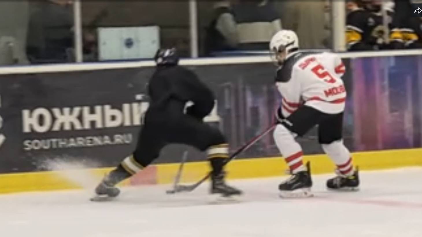 Пингвины - Реванш товарищеский матч коротко