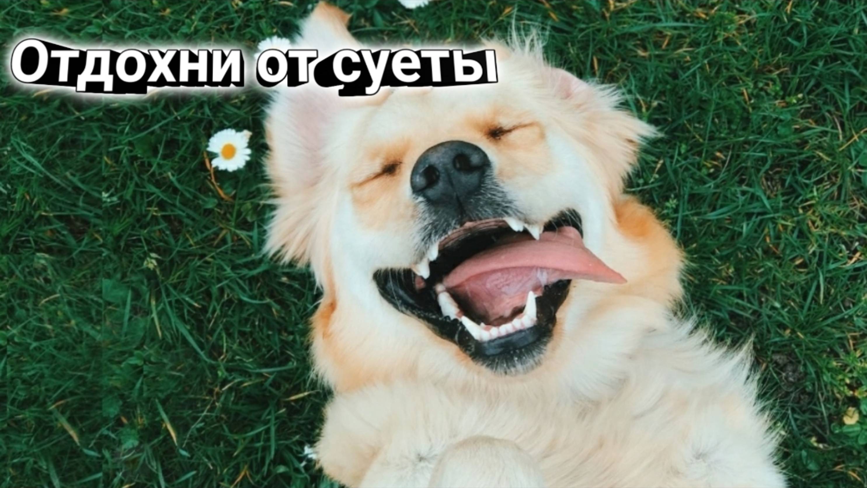 7f12b240eb37033214b34fe7f380fdc8