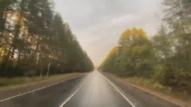 Золотая Осень (Golden Autumn)