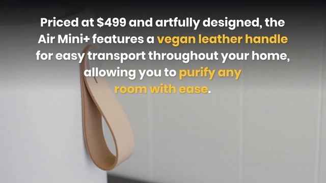 The New Molekule Air Mini+ - Our Molekule Review