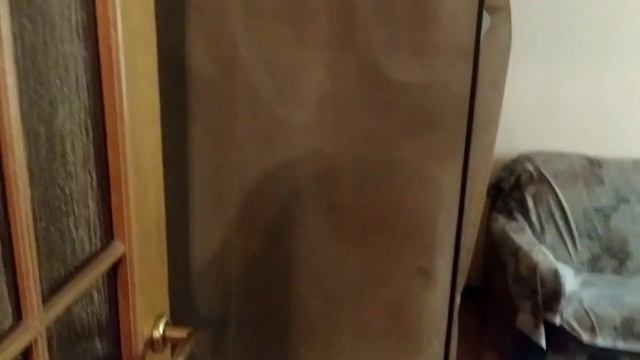 Первые шаги к порядку. Почему флай-леди и магическая уборка не работают у меня.