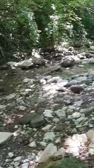 Жизнь Натальи