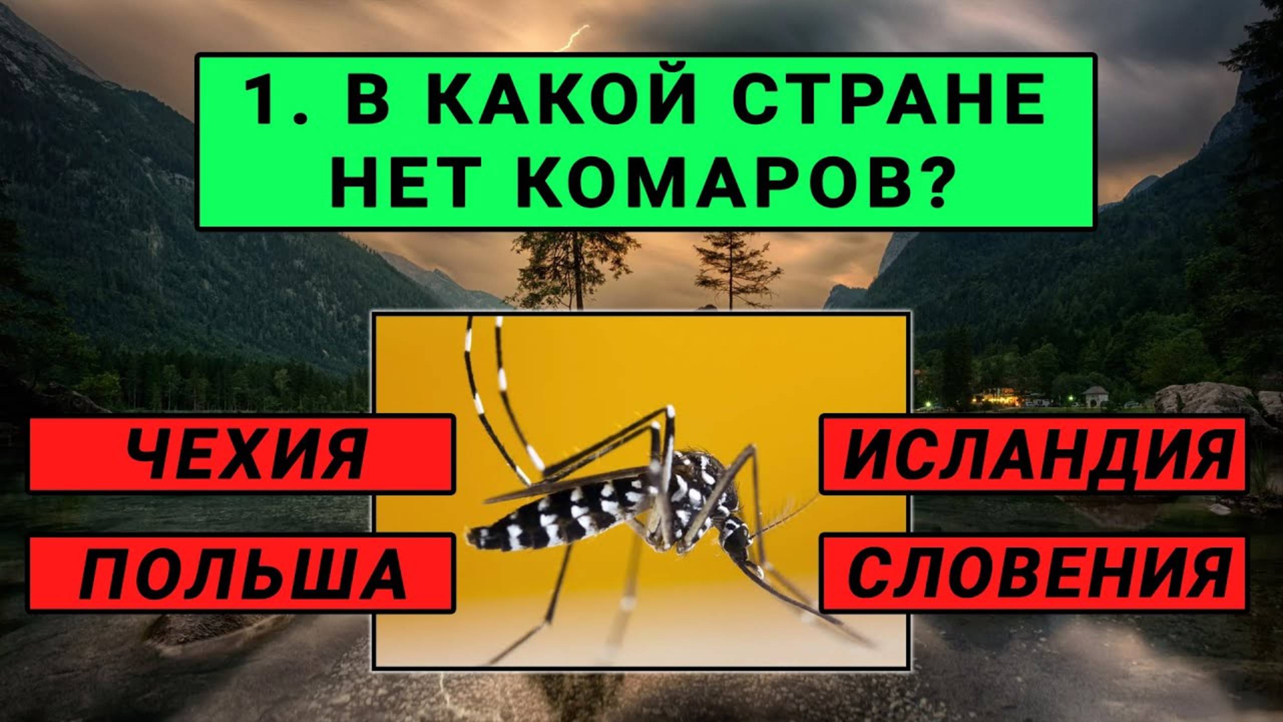 9193b674356fbac94036e156c6f39a45