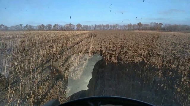 53d7a1e48d7fdd09dffcfbb2950f1f07