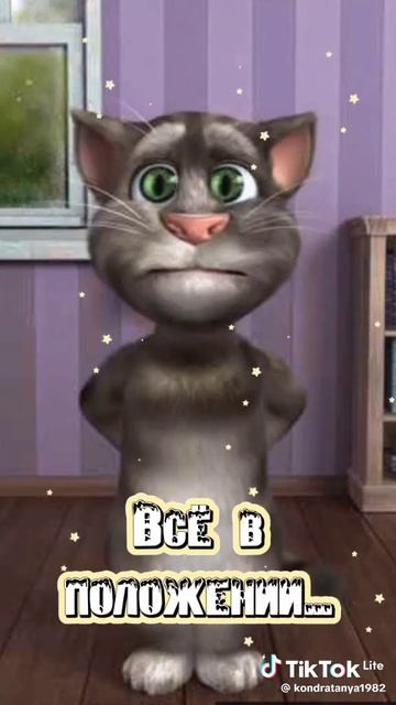 Прикольный кот!