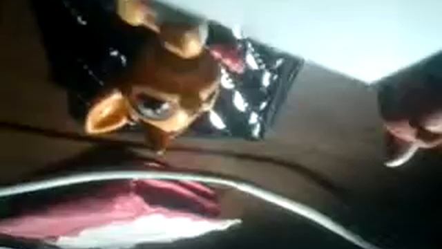 Ecc11c5250abdbd3e0503d4376971dde