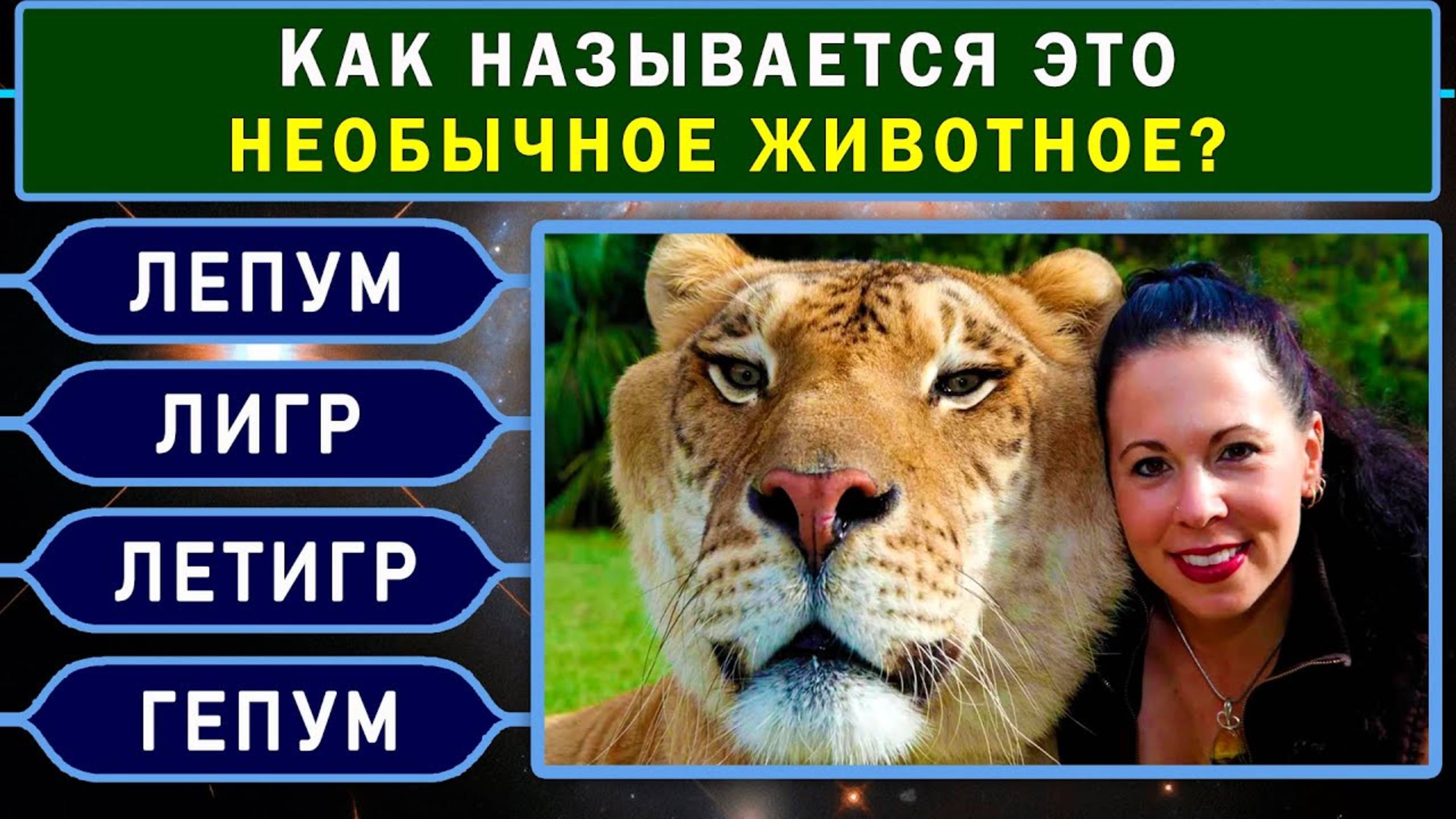 65fe6fadf3489e631cb2b766260590bc