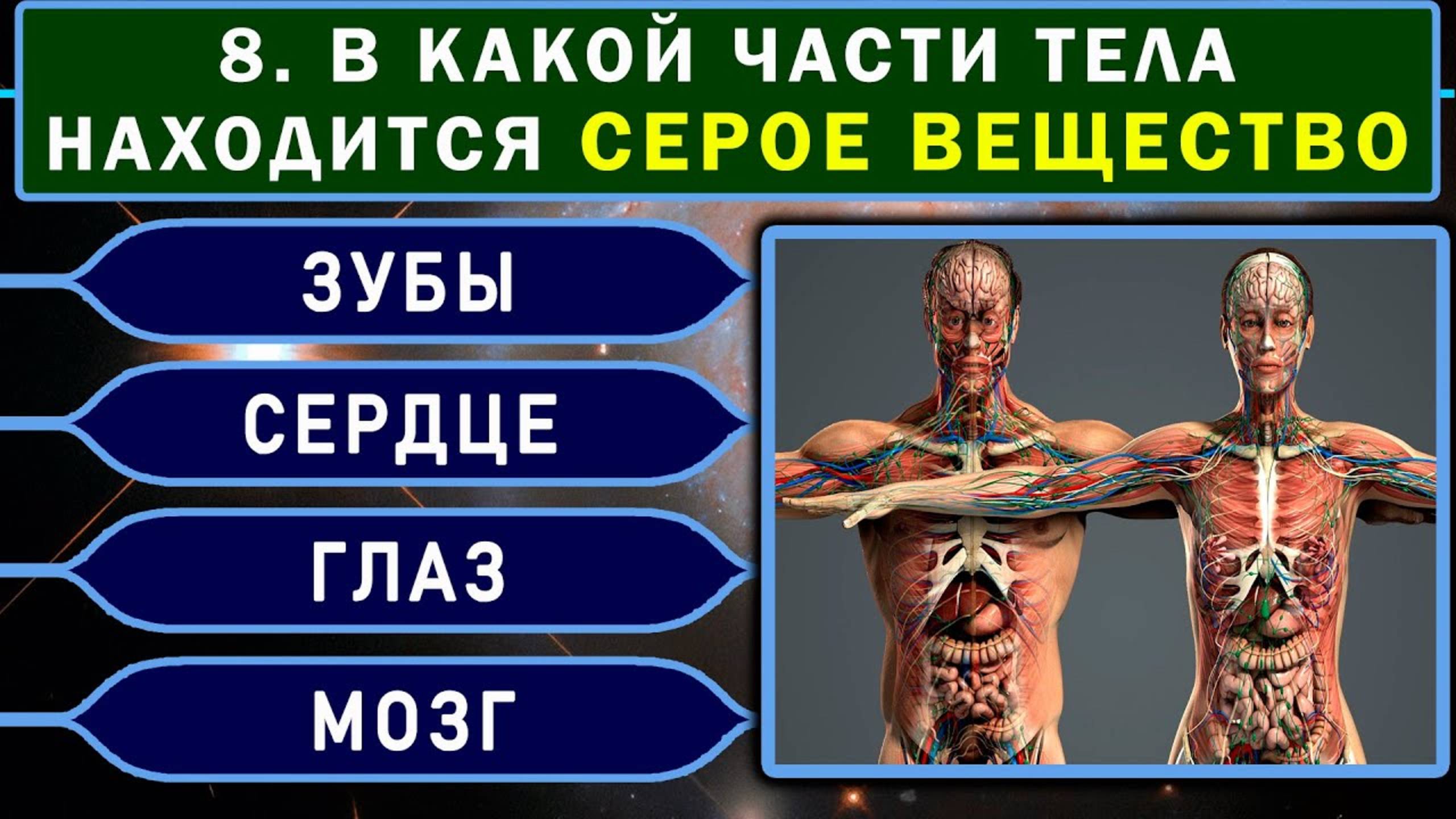 65cfc93e1fc75fe751539096bbfbd333