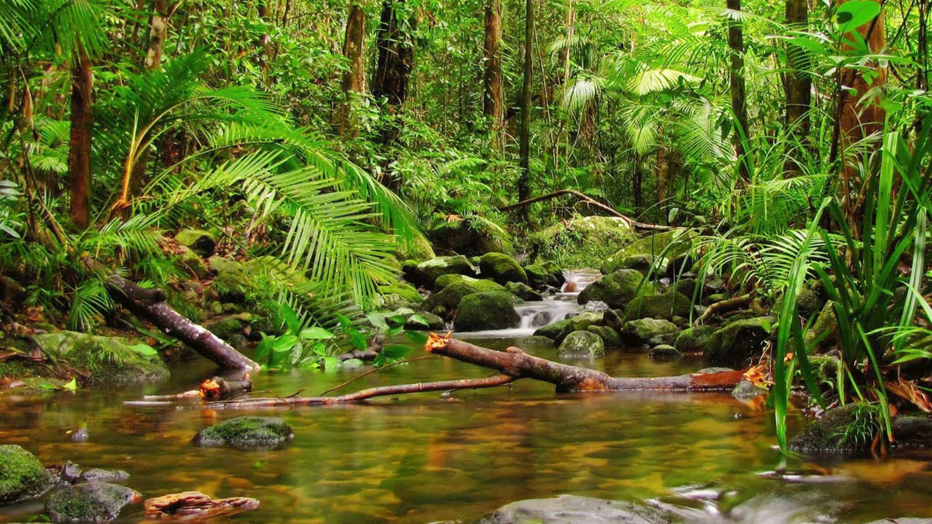 Ac3d19a905aae8bc093d9ada36f49925