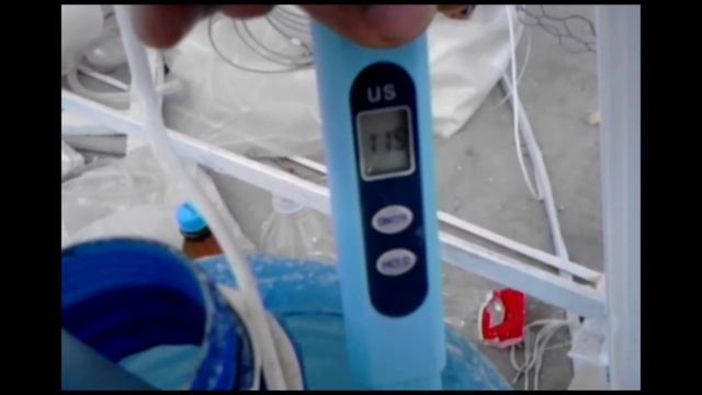 Հայկի գաղտնի լաբորատորիան. պոմիդոր ծիրանի կորիզից