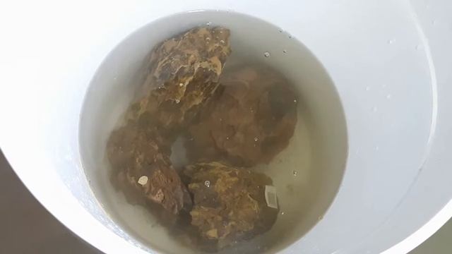 Preparing Dragonstone Rocks For Your Aquarium