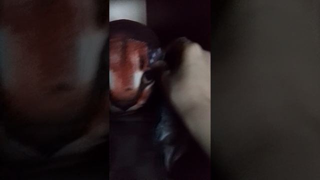 ожидание против реальности когда что-то потерялось 😂