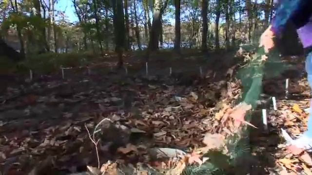 Ecosystems On The Edge: Earthworm Invaders