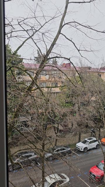 аренда квартиры на улице Роз в центре Сочи