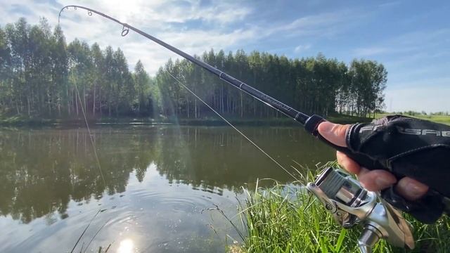 ОФИГЕТЬ! ВОТ ЭТО Я ПОПАЛ НА ВЫХОД ЩУКИ! Рыбалка на красивом лесном пруду