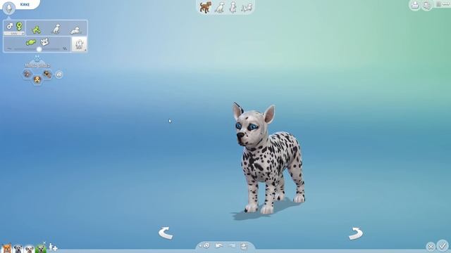 A Litter Of FOX & Dalmatian Puppies!! 🦊💕🐶