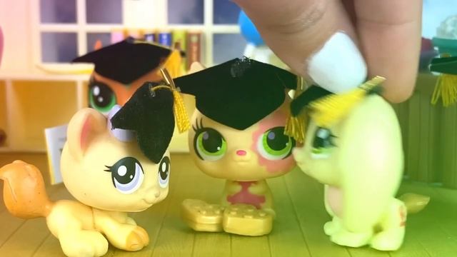 Minişler: Takdir Alamadım! :(