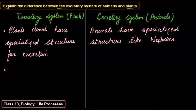 Chapter 6 Life Process, Explain The Difference Between The Excretory System Of Humans And Plants.