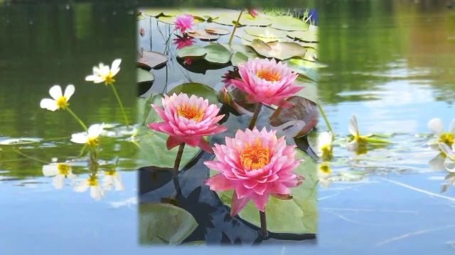 В изумруд прекрасный всё одето...🎼🎵🎶 Музыка для души